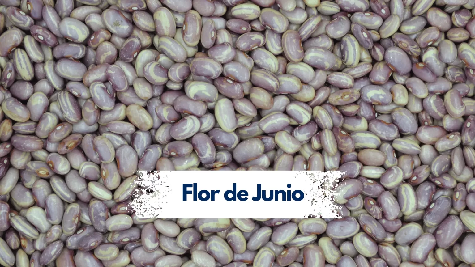 Fflor de junio