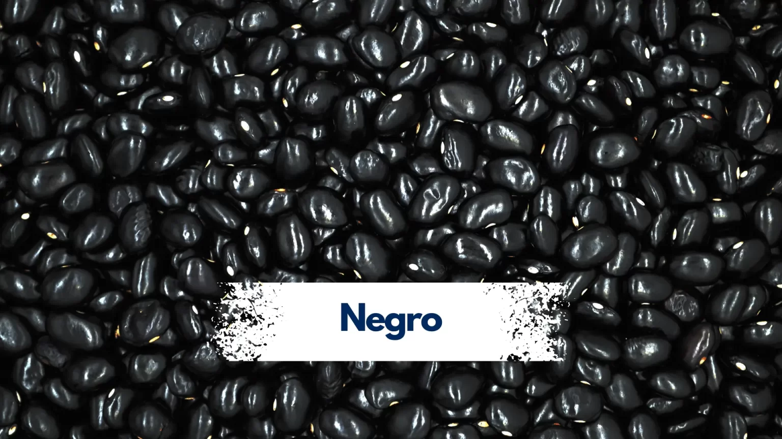 Fnegro
