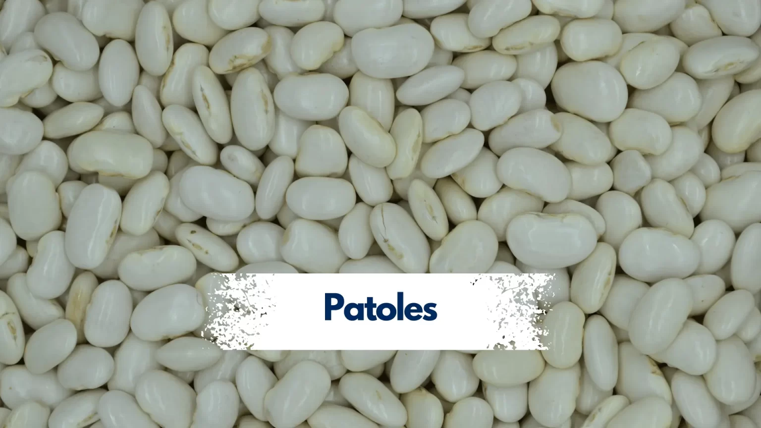 Fpatoles